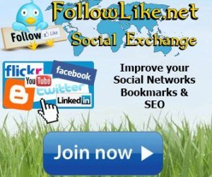 FollowLike: Boosting Social Media Presence and Engagement